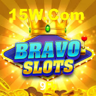 Premium Interface 9Fb